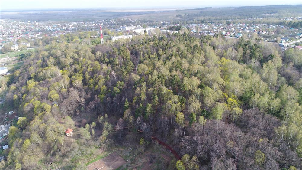 Вид на территорию городского парка с запада
