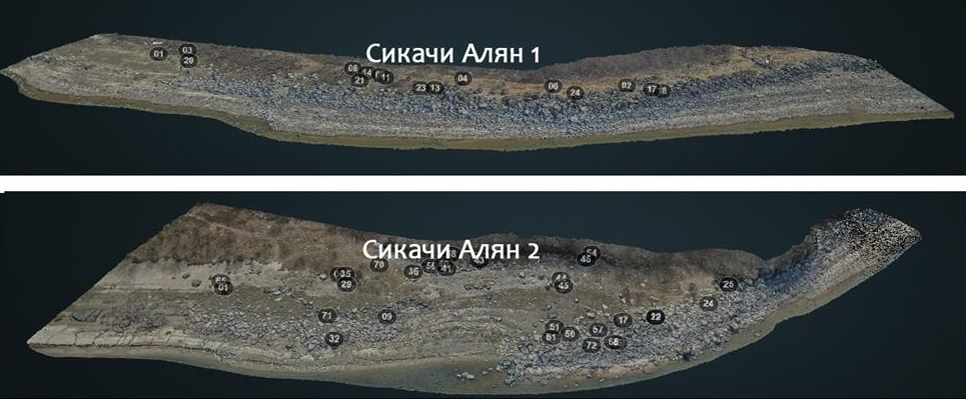 Онлайн-проект Центра палеоискусства ИА РАН «Петроглифы Нижнего Амура и Уссури»
