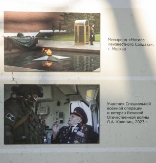 SHAR7186.jpg