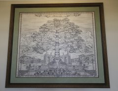 SHAL9427.jpg