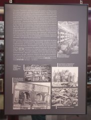 SHAR9271.jpg