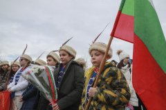 SHAL2740.jpg