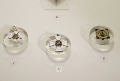 SHAL0691.jpg