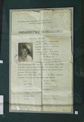 SHAL3700.jpg