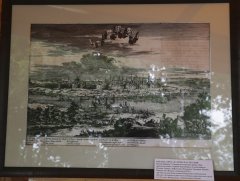 SHAL2641.jpg