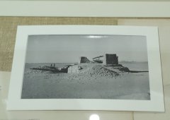 SHAL4410.jpg