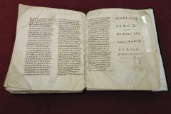 SHAL8147.jpg