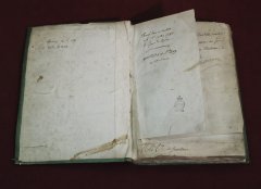 SHAL8166.jpg