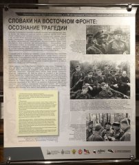 SHAR7658.jpg