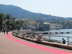 IMG_6670.jpg