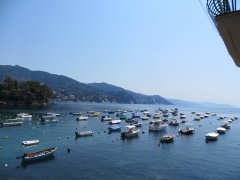 IMG_6696.jpg