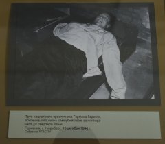 SHAL5954.jpg