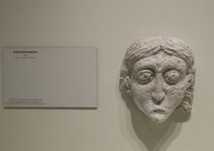 SHAL3429.jpg