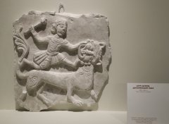 SHAL3440.jpg