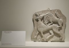 SHAL3444.jpg