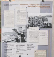 SHAL9816.jpg