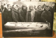 SHAL5429.jpg