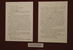 SHAL6497.jpg