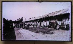 SHAL0236.jpg