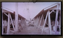SHAL0238.jpg