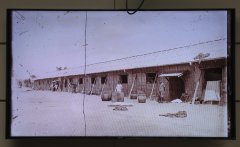 SHAL0250.jpg