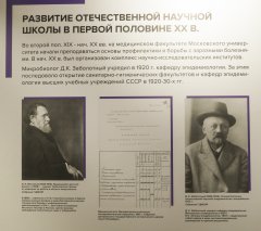 SHAL9398.jpg