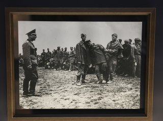 SHAR7050.jpg