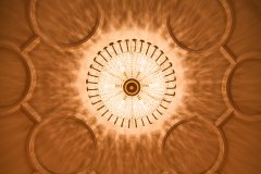 _21A7989.jpg