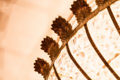 _21A8007.jpg