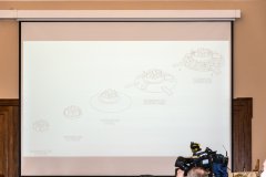 DSC_7659-2.jpg