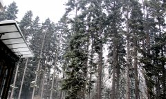 IMG_7193.jpg