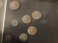 SHAL8161.JPG