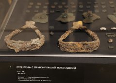 SHAL8190.JPG