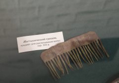 SHAL6752.JPG