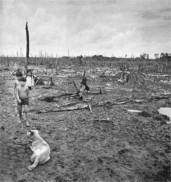10 августа 1961 года американцы впервые применили химикат Agent Orange во Вьетнаме 