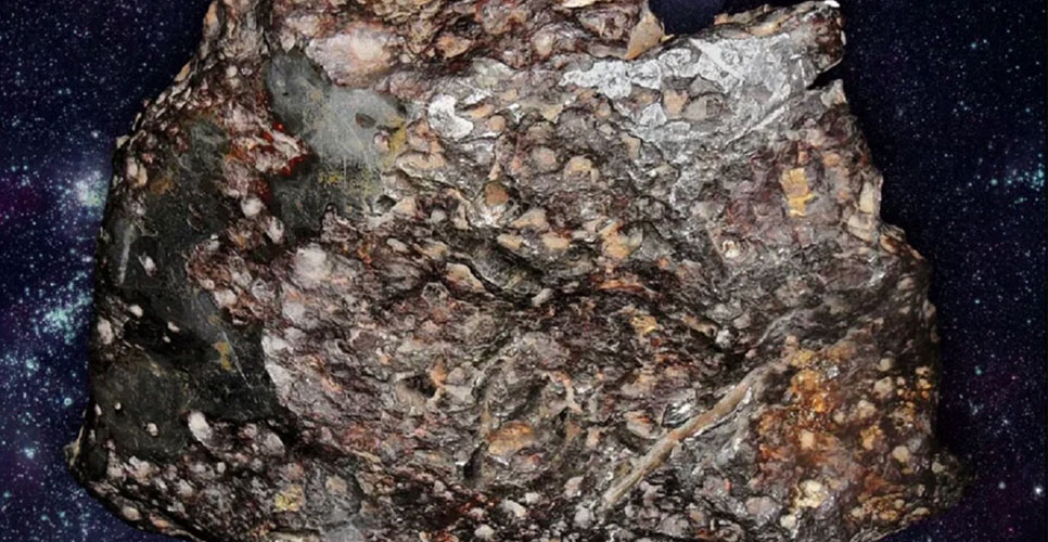 Открытие выставки «Звездные странники: история изучения космоса астрономами и геологами санкт-петербургского университета»